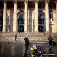 Универсальная коляска Bugaboo Bee 3