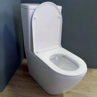 Унитаз напольный Teymi Lina T40103