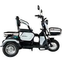 Электроскутер Shtenli Model 31 SLA 60V 20Ач