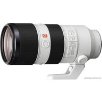 Объектив Sony FE 70-200 mm F2.8 GM OSS в Мозыре