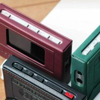 Чехол FiiO SK-ECHO MINI (черный)