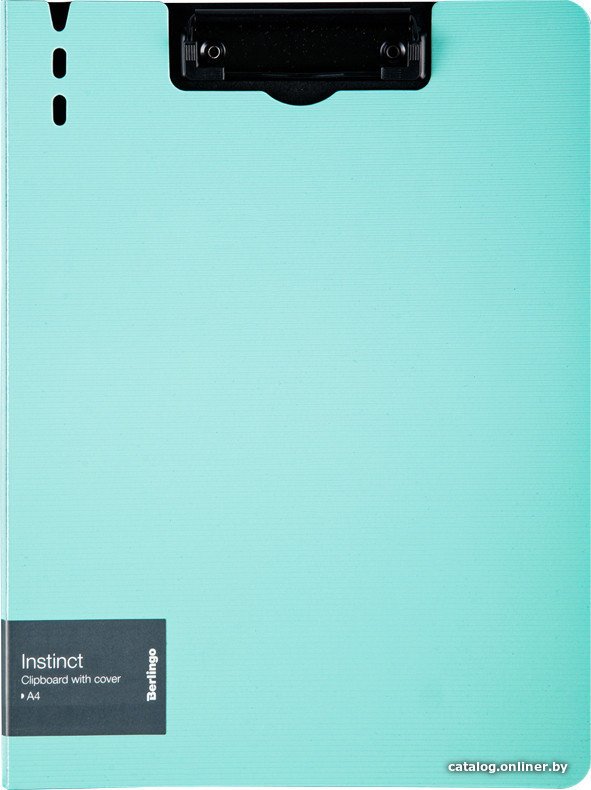 Папка для бумаг Berlingo Instinct PPf_93202 (мятный/черный)