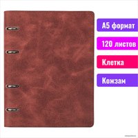 Общая тетрадь BRAUBERG Main А5 401710 (120л, коричневый)