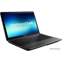 Ноутбук Packard Bell EasyNote TS11-HR-585RU (LX.BYJ01.001)