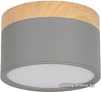 Точечный светильник LOFT IT Grape 10162 (серый)