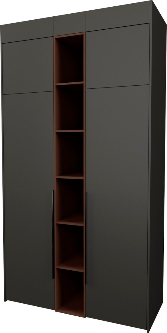 

Шкаф распашной Рэйгрупп Рэй S257-В4-WKL В4 (дуб веллингтон/кобальт/античная латунь)