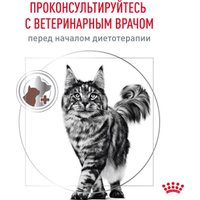 Сухой корм для кошек Royal Canin Gastrointestinal Moderate Calorie 0.35 кг