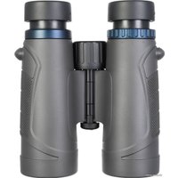 Бинокль Levenhuk Nitro 10x42 (черный)