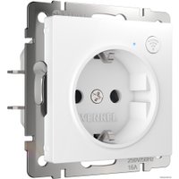 Розетка Werkel W1171601 a056417