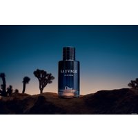 Парфюмерная вода Christian Dior Sauvage EdP (100 мл)