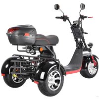 Электроскутер White Siberia CityCoco WS-Pro Trike 3000W 21Ah (с черными брызговиками)