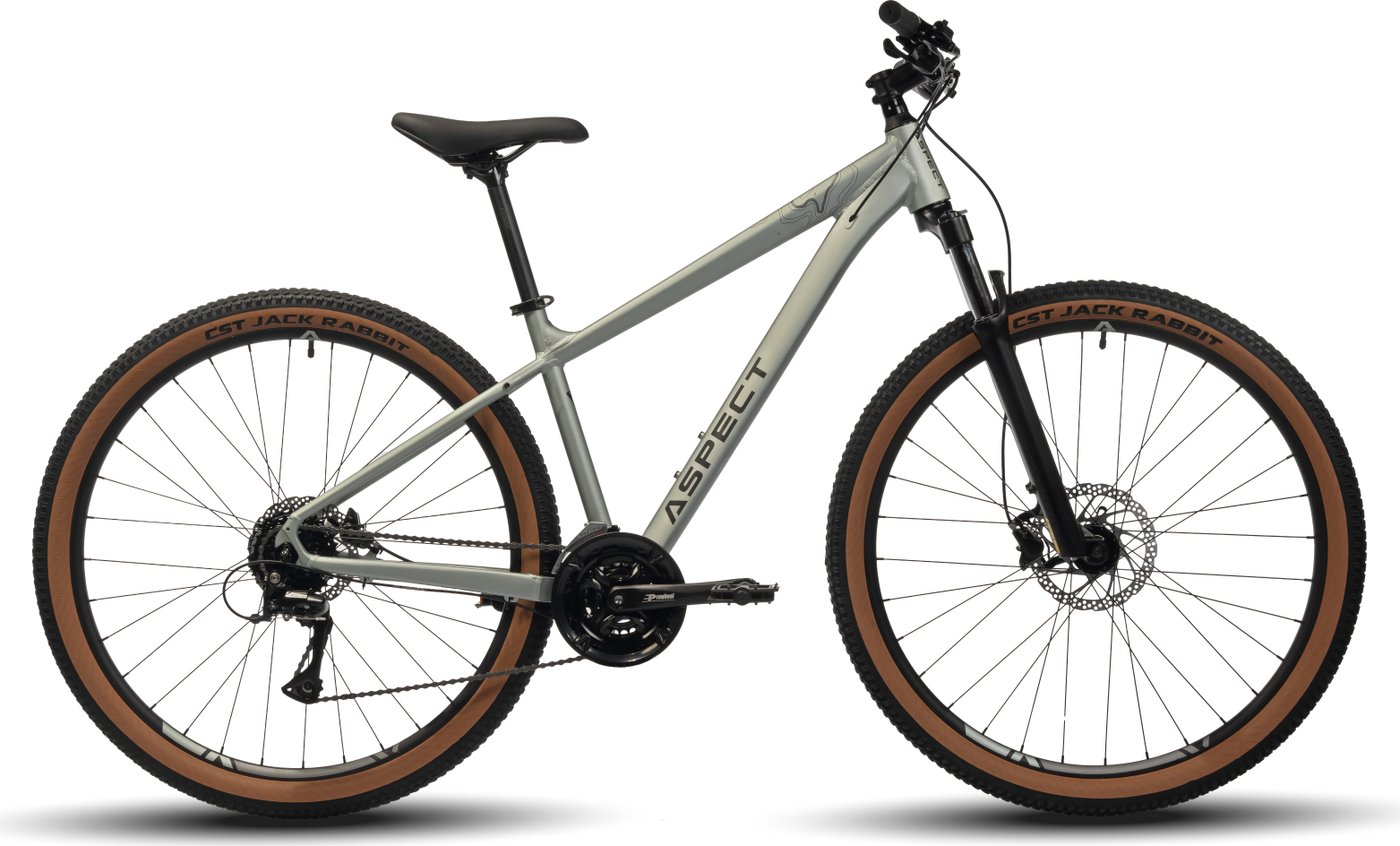 Велосипед Aspect Legend 29 M 2024 (хаки)