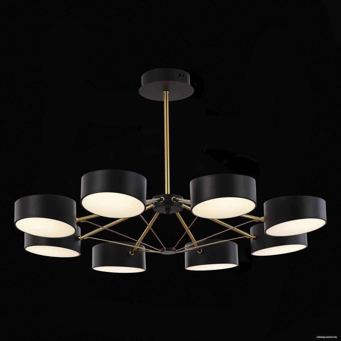 Подвесная люстра ST Luce SLE6005-402-08