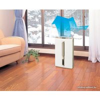 Осушитель воздуха Mitsubishi Electric MJ-E16VX