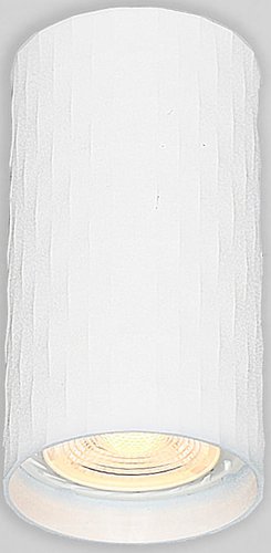 Точечный светильник General Lighting GWL-GU10-M-IP20 661854