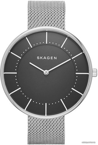 Наручные часы Skagen SKW2561