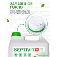 Гель для стирки Septivit Все виды тканей Дыня-мед (3 л)