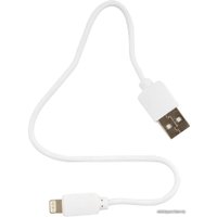 Кабель Гарнизон GCC-USB2-AP2-0.3M-W