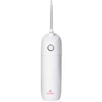 Ирригатор  Evolution WF-01 + Электрическая зубная щетка Enchen T501 (серый)