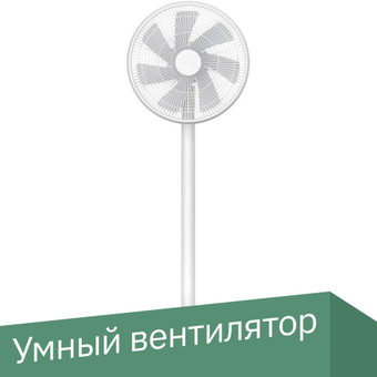 Standing Fan 2 ZLBPLDS04ZM