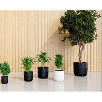 Кашпо Form-Plastic Luca FP-5600-100 (молочное какао)