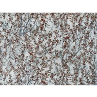  Elysium Вереск Е18806