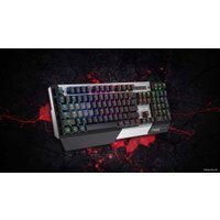 Клавиатура A4Tech Bloody B865R