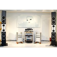 Напольная акустика Dynaudio Evidence Temptation