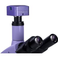 Микроскоп Magus Bio D250TL 83010