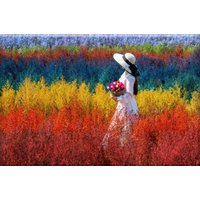 Solmax&Creators Девушка на лугу SM98457