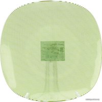 Тарелка обеденная Zibo Shelley Green Lines S350010D