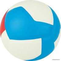 Волейбольный мяч Gala School 12 BV 5715 S (размер 5, белый/красный/голубой)