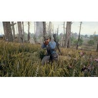 Компьютерная игра PC PlayerUnknown's Battlegrounds (цифровая версия)