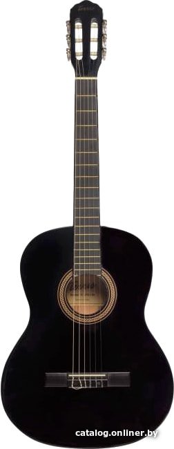 Акустическая гитара Terris TC-390A BK