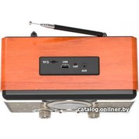 Радиоприемник Ritmix RPR-090 (золотистый)