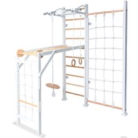 Детский спортивный комплекс Perfetto Sport PS-131