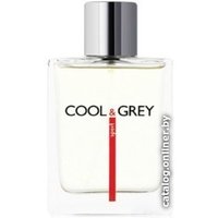 Туалетная вода Dilis Parfum Cool&Grey Sport EdT 100 мл
