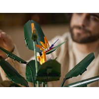 Конструктор LEGO Creator Expert 10289 Райская птица