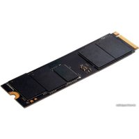 SSD Digma Pro Top P8 1TB DGPST4001TP8T7