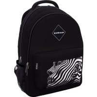 Школьный рюкзак Erich Krause EasyLine 20L Nirvana 62999