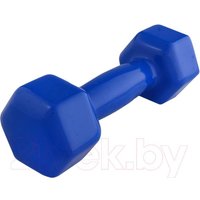 Гантель ZEZ Sport 3kg (синий)