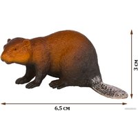 Фигурка Masai Mara Мир диких животных. Бобер MM211-175