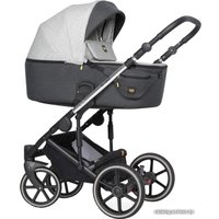 Универсальная коляска Expander Exeo (2 в 1, 01 silver)