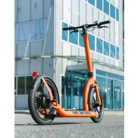 Электросамокат Stork Stork 2H