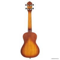 Укулеле Ortega Earth RUDAWN