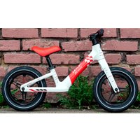 Беговел Lenjoy Sports S1000-12