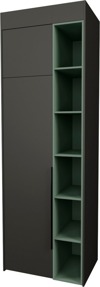 

Шкаф распашной Рэйгрупп Рэй S262-B1-WKZ В1 (дуб веллингтон/кобальт/зеленый самшит)