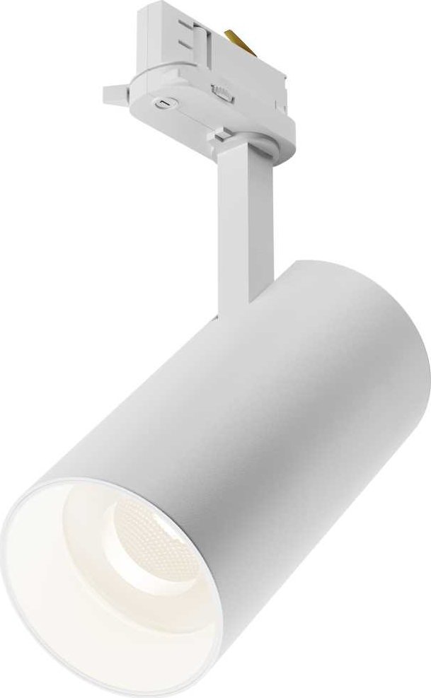 

Трековый светильник Maytoni Technical TR197-3-30WCCT-M-W