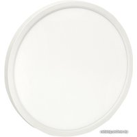 Светодиодная панель EKF 300 мм 24W Connect