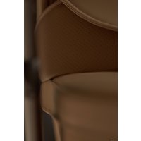 Универсальная коляска Anex E/type 2022 (2 в 1, boho et-SE01)